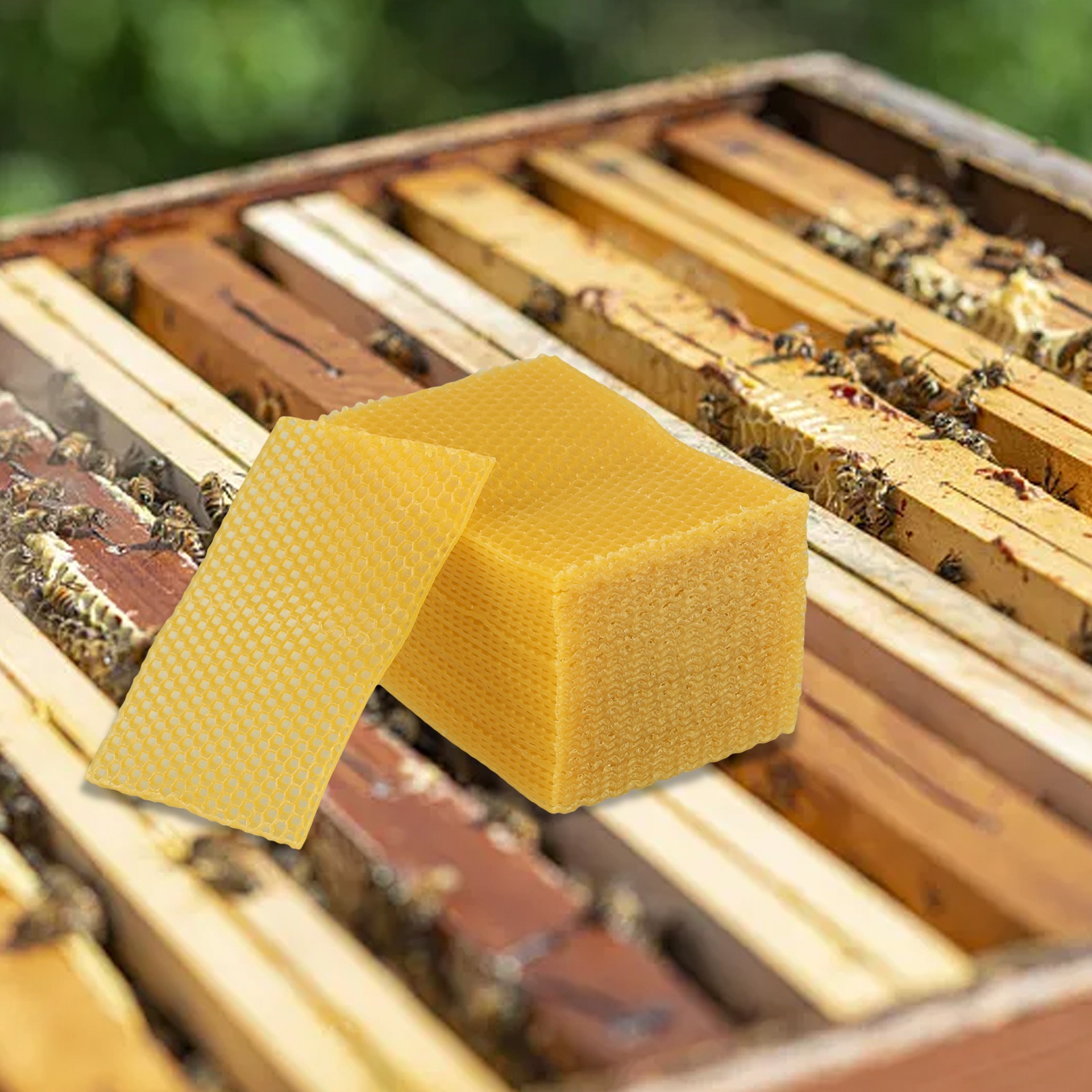Folhas de Cera de Abelha para  - Beeswax Sheet Roll avaliação e preço